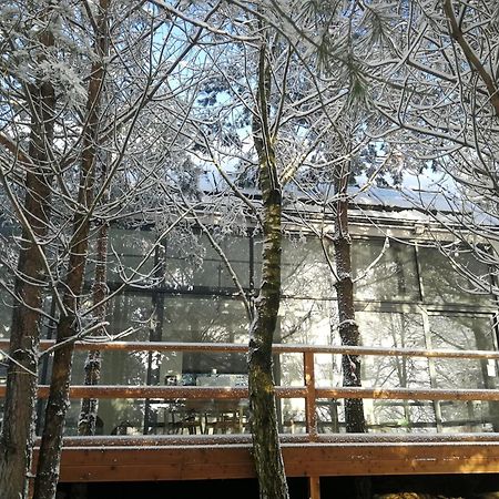 Вилла Luksusowy- Nowoczesny Dom W Lesie Kowalewo Экстерьер фото