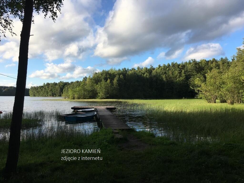 Вилла Luksusowy- Nowoczesny Dom W Lesie Kowalewo Экстерьер фото